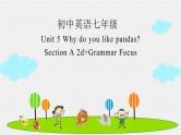 人教新目标七下英语---Unit 5 Why do you like pandas SectionA 2d Grammar Focus 课件