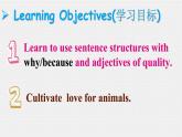 人教新目标七下英语---Unit 5 Why do you like pandas SectionA 2d Grammar Focus 课件