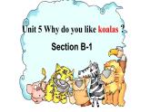 人教新目标七下英语---Unit 5 Why do you like pandas_ Sectioon B 1a-1d 课件+音频