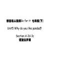 人教新目标七下英语---Unit5 Why do you like pandas？Section A 2d-3c 课件+ 音频