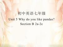 初中英语人教新目标 (Go for it) 版七年级下册Section B课文配套课件ppt