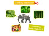 人教新目标七下英语---Unit 5 Why do you like pandas SectionB 2a-2c 课件+ 音视频