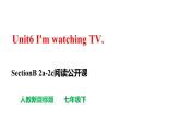 人教新目标七下英语---Unit 6 I’m watching TV.  SectionB 2a-2c阅读课件+ 音视频
