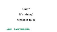 人教新目标 (Go for it) 版七年级下册Section B教案配套ppt课件