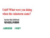 人教新目标八年级英语下册---Unit 5 What were you doing when the rainstorm？Section B 3a-Selfcheck写作课件+视频