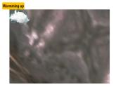 人教新目标八年级英语下册---Unit 5 What were you doing when the rainstorm came Section A 1a-2d 课件+ 音视频