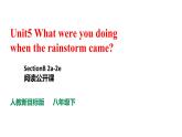人教新目标八年级英语下册---Unit 5 What were you doing when the rainstorm？SectionB2a-2e阅读课件+音视频