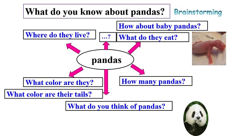 人教新目标八年级英语下册---Unit 7 What's the highest mountain in the world_ SectionB (2a-2e)课件+视频04