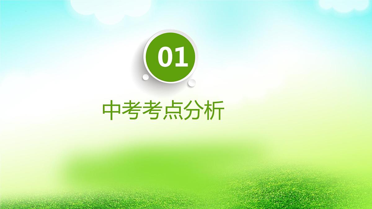 2022年中考英语一轮复习第一课时名词总复习课件第3页