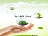 Unit8SectionB3a-selfcheck课件人教版七年级英语下册
