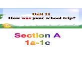 Unit11SectionA（1a-1c）课件人教版七年级英语下册