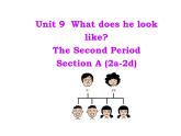 Unit9SectionA2a-2d课件人教版七年级英语下册