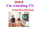 Unit6SectionB（3a-shlf-sheck）课件人教版七年级英语下册