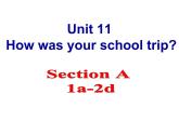 Unit11SectionA1a-2d课件人教版七年级英语下册