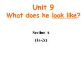 Unit9SectionA1a-2c课件人教版七年级英语下册
