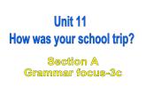 Unit11SectionAGrammarFocus-3c课件人教版七年级英语下册