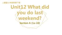 人教新目标 (Go for it) 版七年级下册Unit 12 What did you do last weekend?Section A教课内容ppt课件