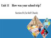 Unit11SectionB3a-SelfCheck课件人教版七年级英语下册