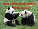 Unit5SectionB2a-2c课件人教版英语七年级下册