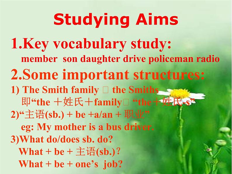 冀教版（三起）英语七年级上册 Unit 5 Family and home Lesson 25 Jenny’s Family（课件）03