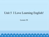 冀教版（三起）英语七年级下册 Unit 5  I Love Learning English!-Lesson 30_（课件）