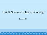 冀教版（三起）英语七年级下册 Unit 8  Summer Holiday Is Coming!-Lesson 43_（课件）