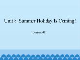 冀教版（三起）英语七年级下册 Unit 8  Summer Holiday Is Coming!-Lesson 48_（课件）