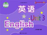 Unit3OnlinetoursComicstrip&Welcometotheunit课件牛津译林版八年级下册