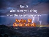 Unit5SectionB（3a-selfcheck）课件人教版八年级英语下册