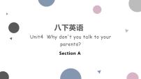 初中英语人教新目标 (Go for it) 版八年级下册Section A背景图课件ppt