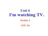 Unit6SectionAGrammarFocus-3c课件人教版七年级英语下册