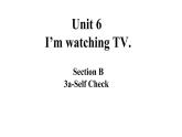 Unit6SectionB3a-Selfcheck课件人教版七年级英语下册