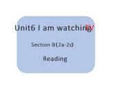 Unit6SectionB（2a-2c）课件人教版七年级下册英语