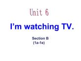 Unit6SectionB1a-1e课件人教版七年级英语下册