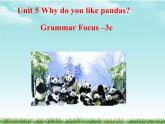 Unit5WhydoyoulikepandassectionAGrmmarFocus-3c课件人教新目标英语七年级下册