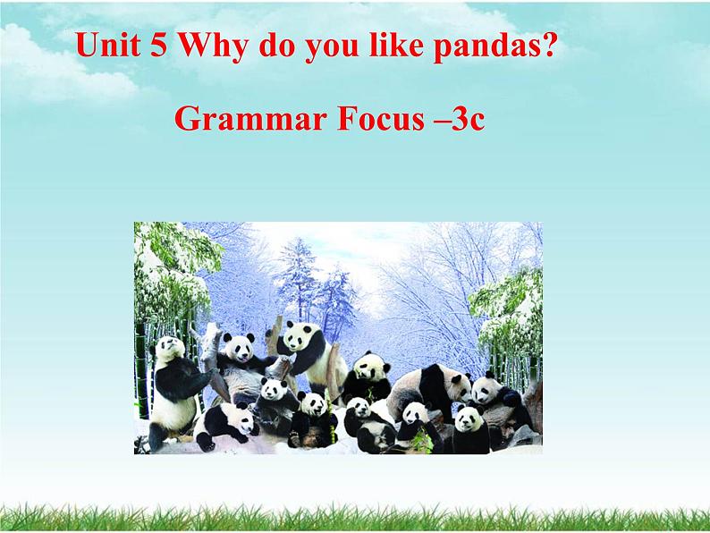 Unit5WhydoyoulikepandassectionAGrmmarFocus-3c课件人教新目标英语七年级下册第1页