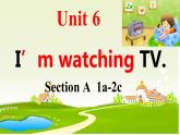 Unit6SectionA1a-2c课件人教版英语七年级下册