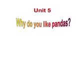 Unit5SectionB1a-1d课件人教版七年级英语下册
