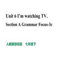人教新目标七年级英语下册--Unit 6 I'm watching TV Section A Grammar Focus-3c 优质课件+视频