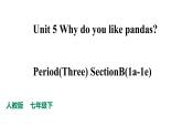 人教新目标七年级英语下册--Unit 5 Why do you like pandas.SectionB(1a-1e)课件+ 音音频