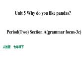 人教新目标七年级英语下册--Unit 5 Why do you like pandas.SectionA(Grammar foucs-3c)课件+音音频