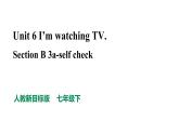 人教新目标七年级英语下册--Unit 6 I'm watching TV Section B 3a-self check 优质课件(共26张PPT) 导学案 音视频