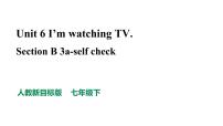 初中英语人教新目标 (Go for it) 版七年级下册Section B教学课件ppt