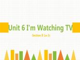 人教新目标七年级英语下册--Unit 6 I'm Watching TV Section B 1a-2c 课件