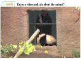 人教新目标七年级英语下册--Unit 5 Why do you like pandas.SectionA(1a-2d)课件+ 音音频