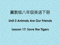 冀教版八年级下册Lesson 17 Save the Tigers图片课件ppt