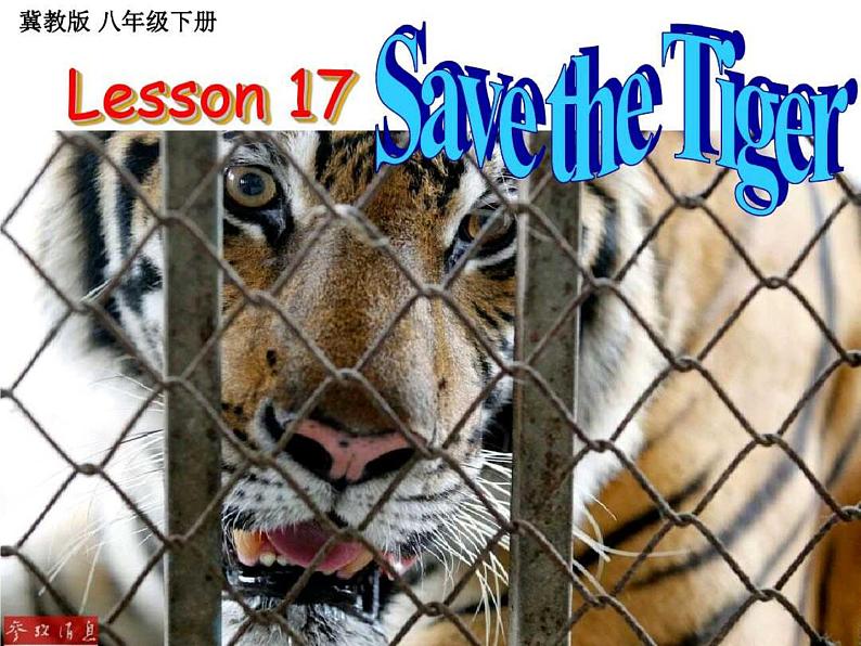 冀教版（三起）英语八年级下册 冀教版八年级下册Unit3 Lesson17 Save the Tigers（课件）02