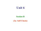 Unit6SectionB3a—3bSelfcheck课件人教版英语七年级下册