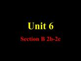 Unit6SectionB2b-2c课件人教版新目标英语八年级下册