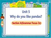 Unit5SectionA(GrammarFocus-3c)课件人教版七年级英语下册